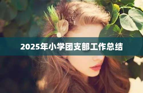 2025年小学团支部工作总结
