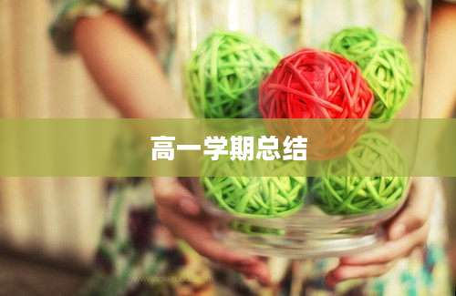 高一学期总结