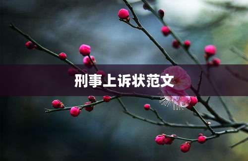 刑事上诉状范文