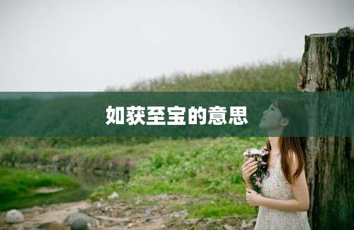 如获至宝的意思