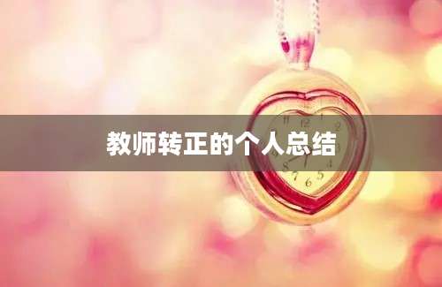 教师转正的个人总结