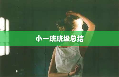 小一班班级总结