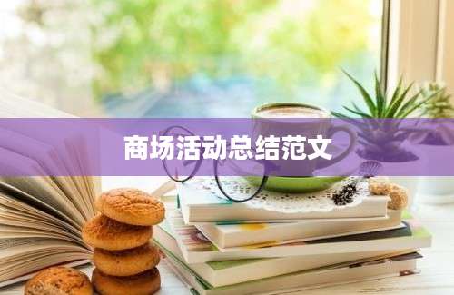 商场活动总结范文