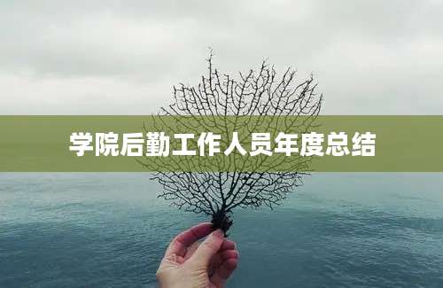 学院后勤工作人员年度总结