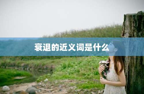 衰退的近义词是什么