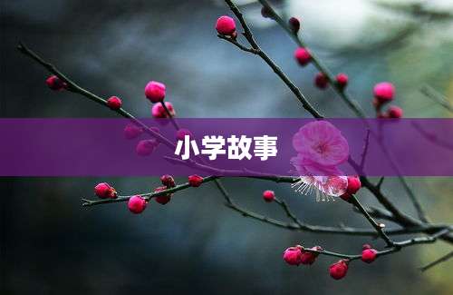 小学故事