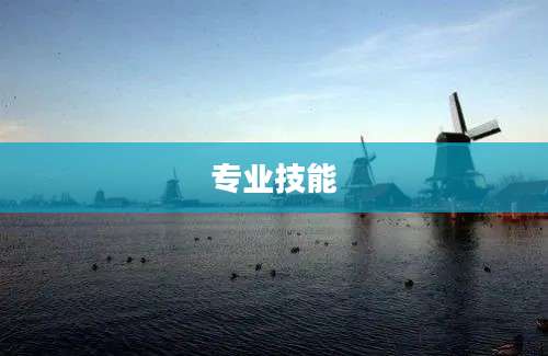 专业技能