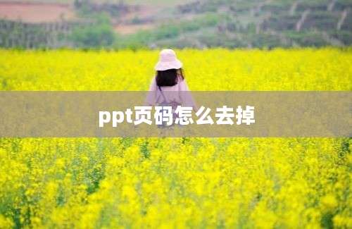 ppt页码怎么去掉