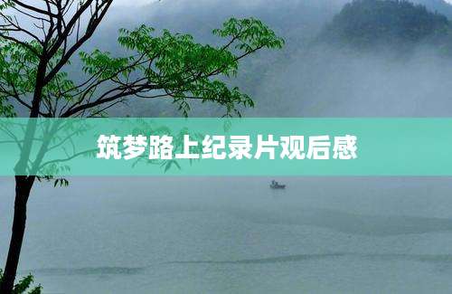 筑梦路上纪录片观后感