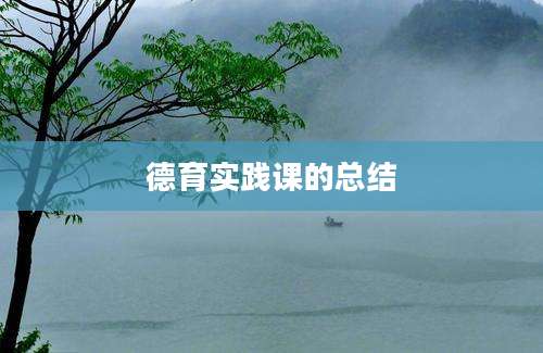 德育实践课的总结