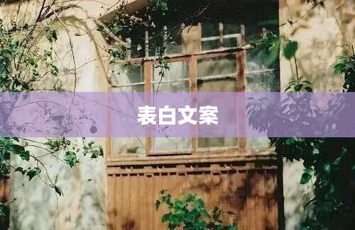 表白文案