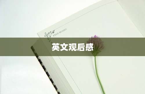 英文观后感