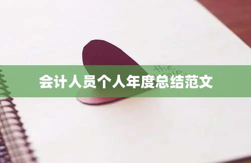 会计人员个人年度总结范文