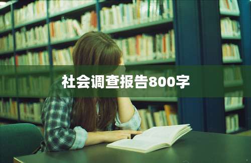 社会调查报告800字