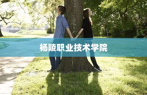 杨陵职业技术学院