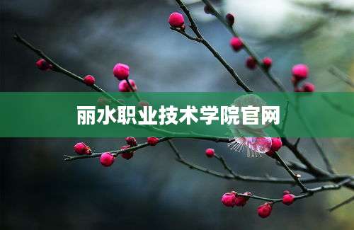 丽水职业技术学院官网