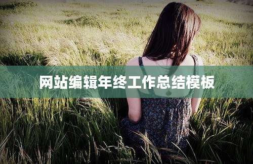 网站编辑年终工作总结模板