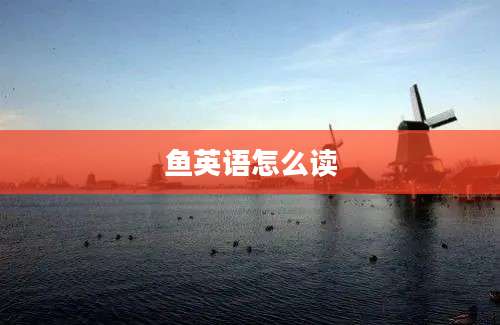 鱼英语怎么读