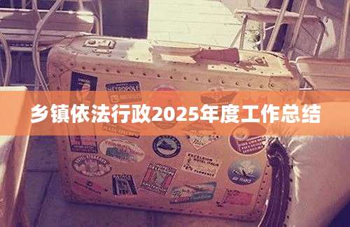 乡镇依法行政2025年度工作总结