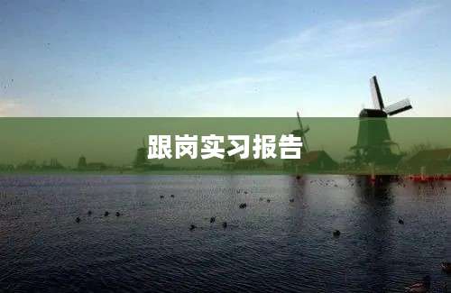 跟岗实习报告
