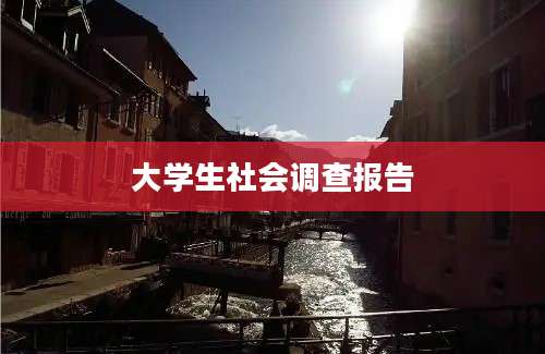 大学生社会调查报告