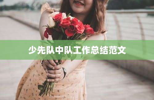 少先队中队工作总结范文