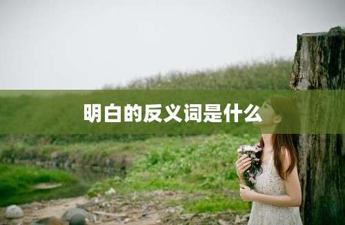 明白的反义词是什么