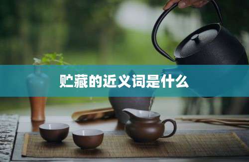 贮藏的近义词是什么