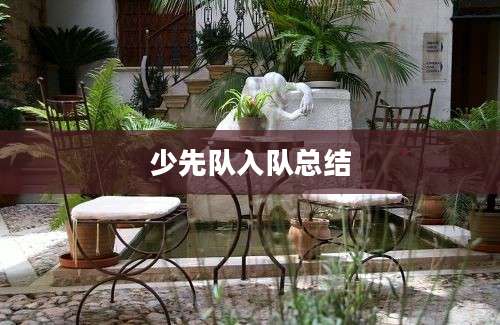 少先队入队总结