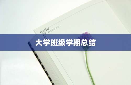 大学班级学期总结
