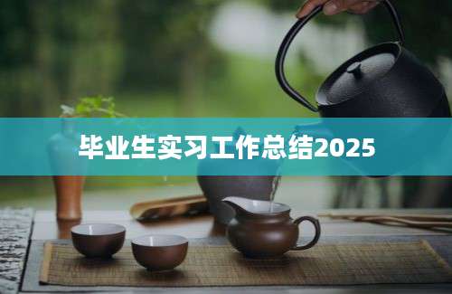 毕业生实习工作总结2025