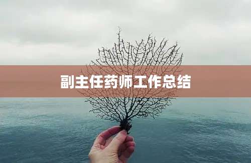副主任药师工作总结