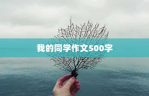 我的同学作文500字