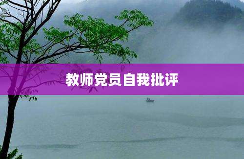 教师党员自我批评