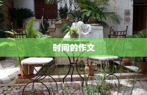 时间的作文