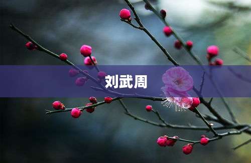 刘武周
