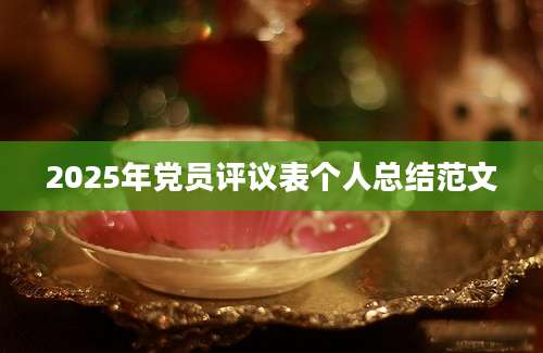 2025年党员评议表个人总结范文