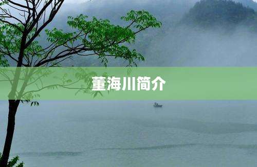 董海川简介