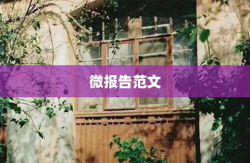 微报告范文