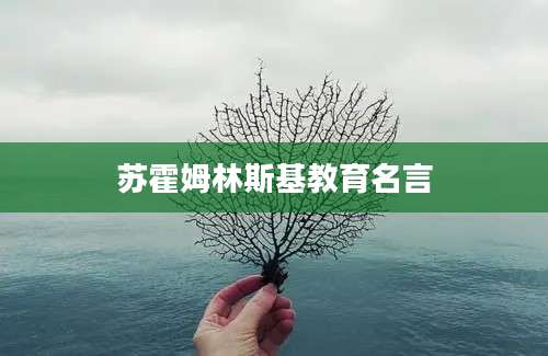 苏霍姆林斯基教育名言