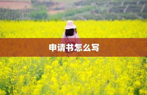 申请书怎么写