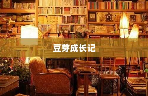 豆芽成长记