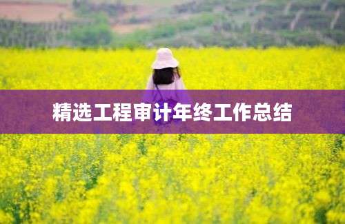 精选工程审计年终工作总结