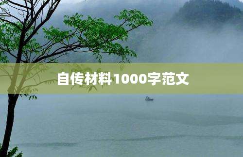 自传材料1000字范文