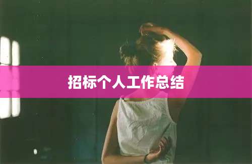 招标个人工作总结