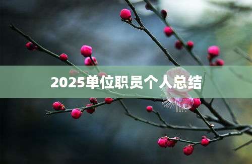 2025单位职员个人总结