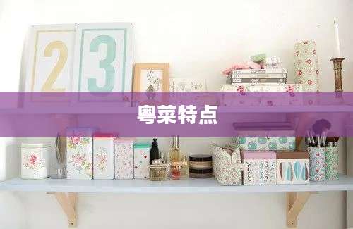粤菜特点