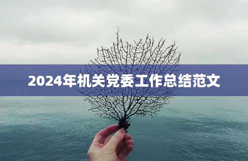 2024年机关党委工作总结范文