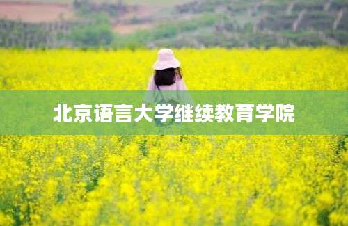 北京语言大学继续教育学院