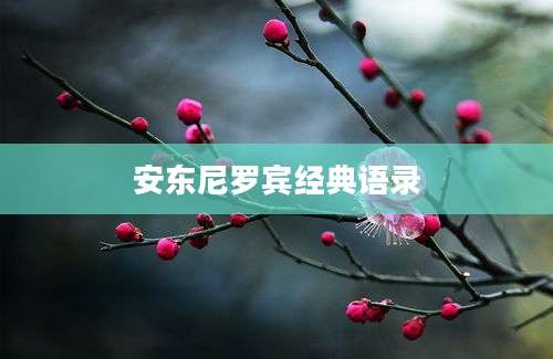 安东尼罗宾经典语录